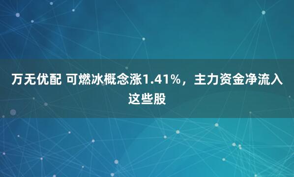 万无优配 可燃冰概念涨1.41%，主力资金净流入这些股