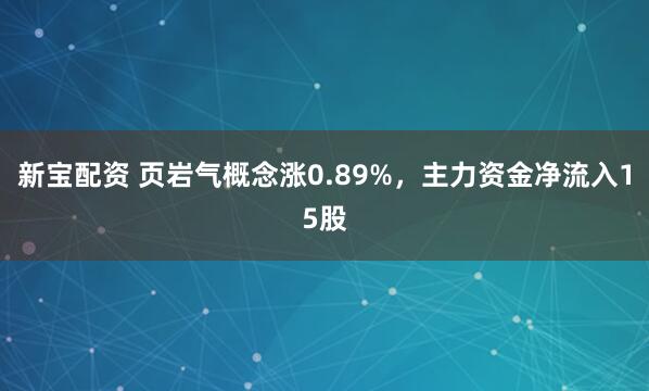 新宝配资 页岩气概念涨0.89%，主力资金净流入15股
