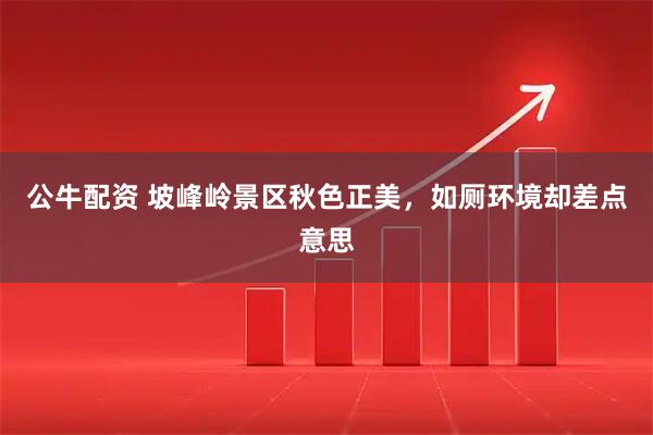 公牛配资 坡峰岭景区秋色正美，如厕环境却差点意思