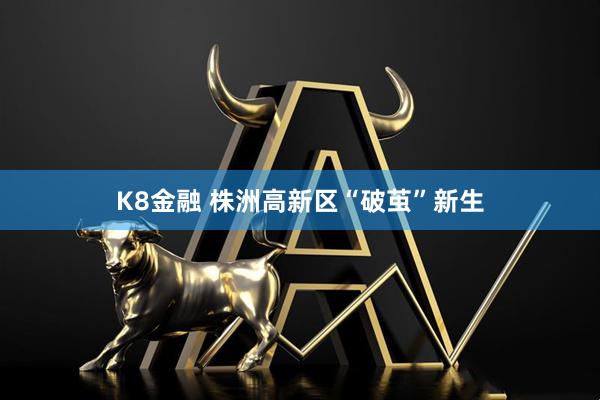 K8金融 株洲高新区“破茧”新生