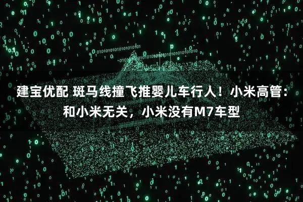 建宝优配 斑马线撞飞推婴儿车行人！小米高管：和小米无关，小米没有M7车型