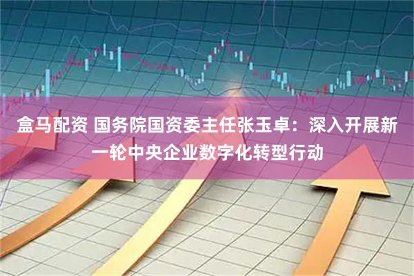 盒马配资 国务院国资委主任张玉卓：深入开展新一轮中央企业数字化转型行动