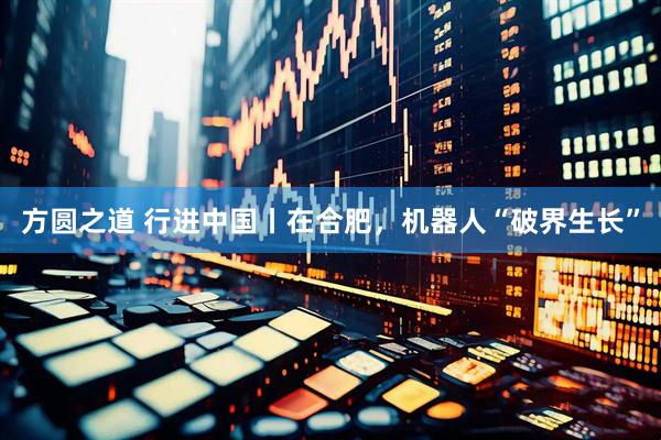 方圆之道 行进中国丨在合肥，机器人“破界生长”